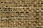 Goya Wheat - Advanced Blind & Shade