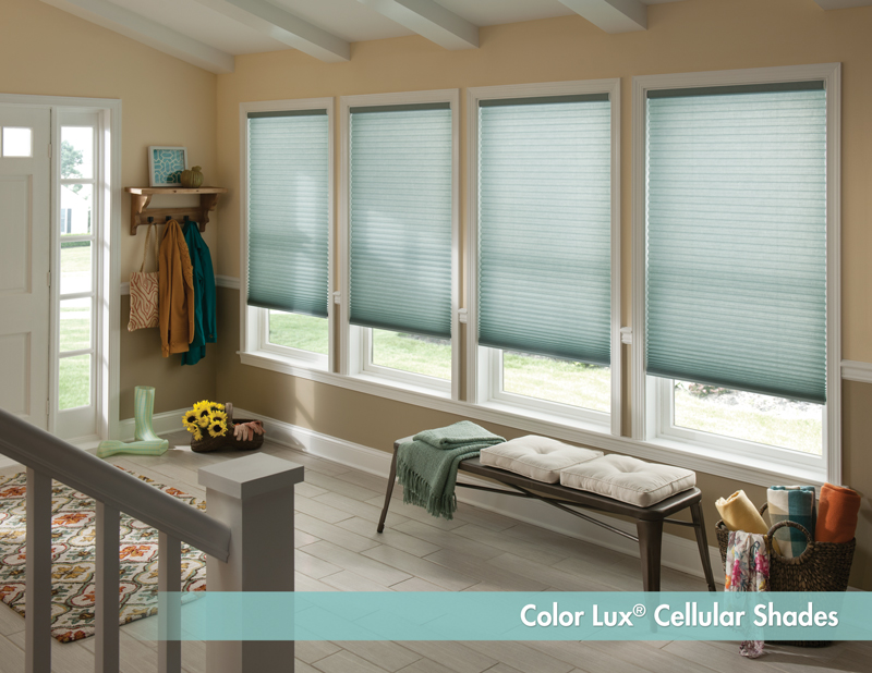 Color Lux Shades - Advanced Blind & Shade