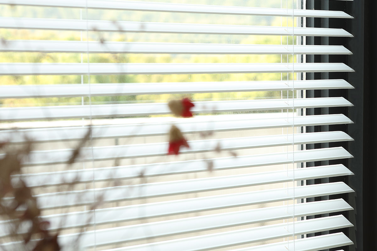 SoftView Fabric Blinds